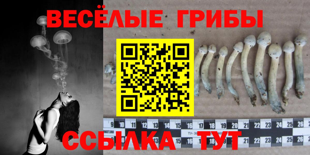 Галлюциногенные грибы Cubensis  Вход с VPN  Джанкой 