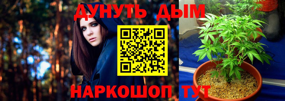 Бошки марихуана гибрид  Вход с VPN  Джанкой  Марихуана SATIVA & INDICA  Бошки Шишки марихуана 